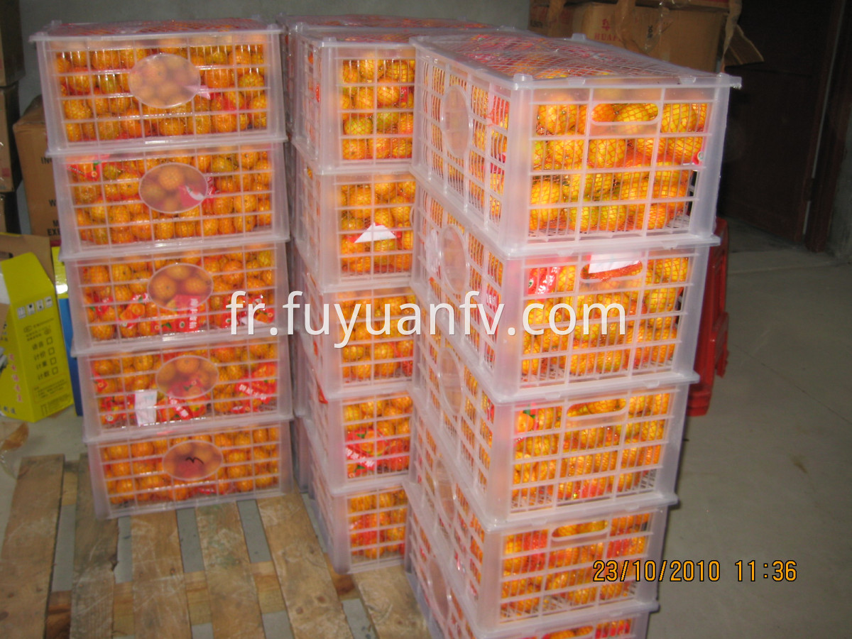 9kg plastix box baby mandarin